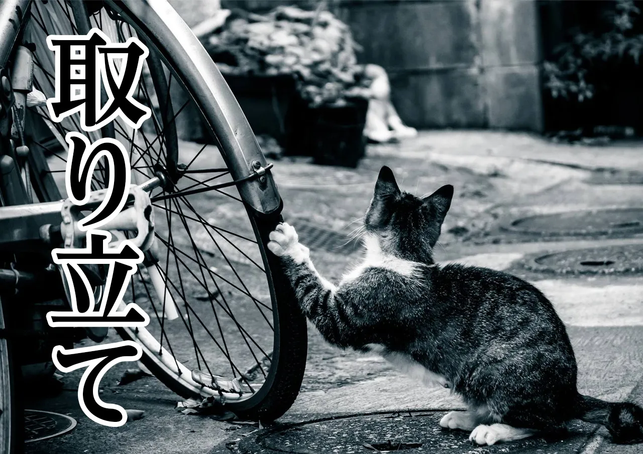 取り立て
