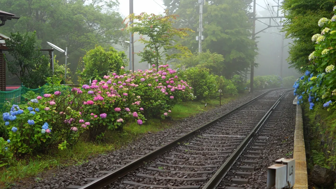箱根登山鉄道