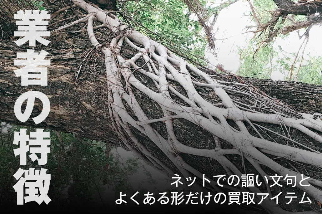 業者の特徴