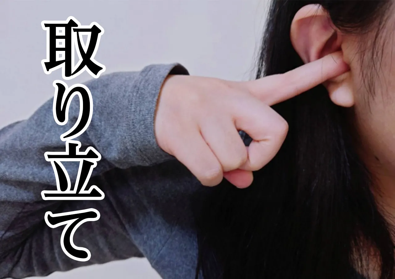 取り立て