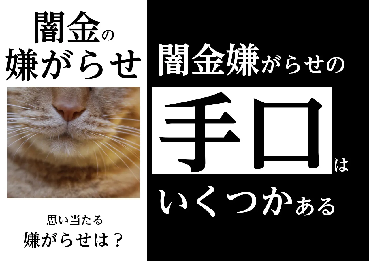 手口｜借りていなくても闇金はあらゆる嫌がらせをする