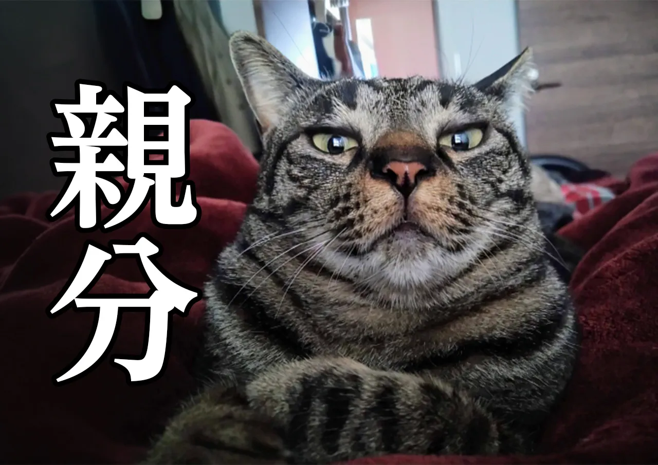 親分